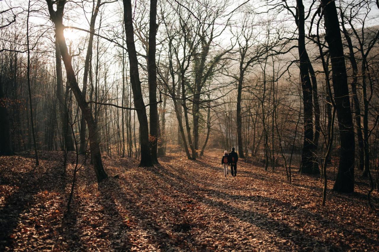 Krone Svaty Jur Bagian luar foto